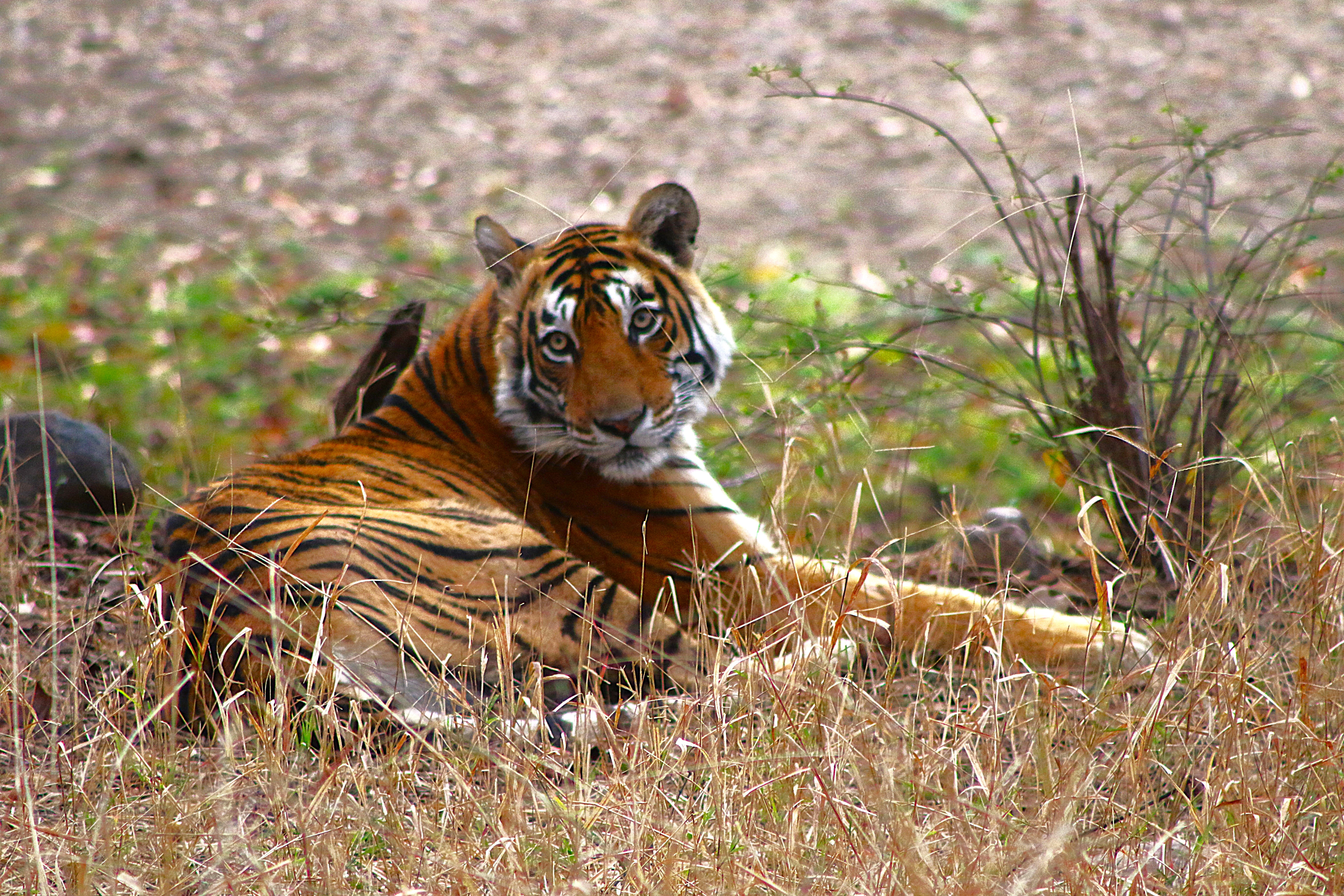 Travel With AJ Voyages Pvt. Ltd.